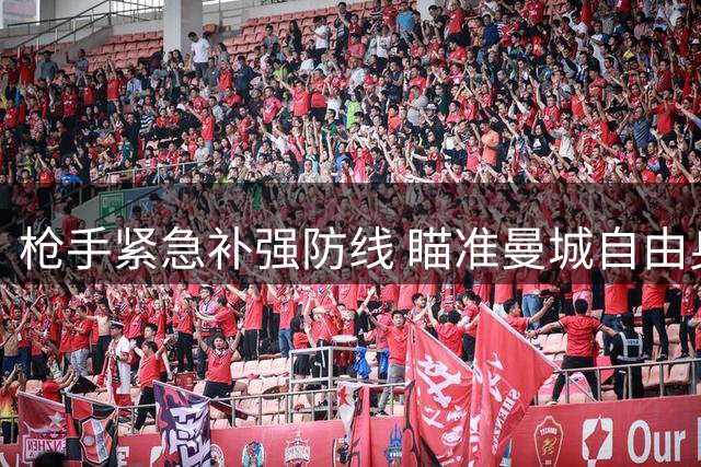 枪手紧急补强防线 瞄准曼城自由身国脚斯通斯